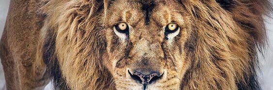 9onzalo9's profile banner image
