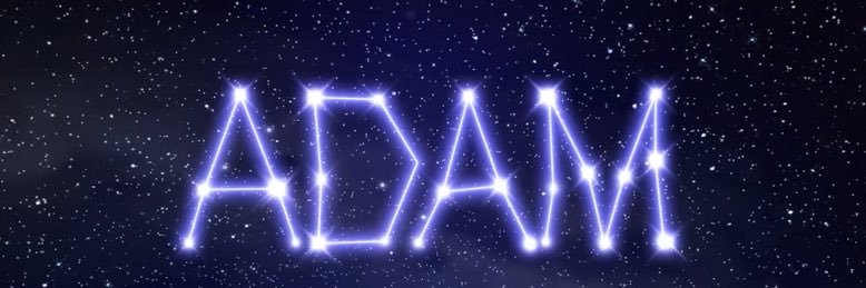 𝑨𝑴𝑼🐨💫 banner