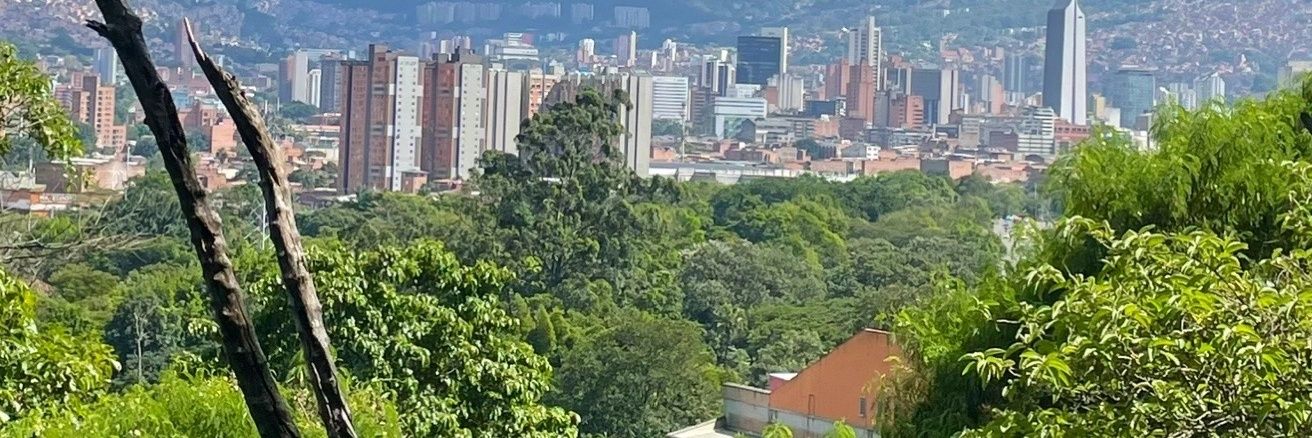 Manuel Alvarado banner