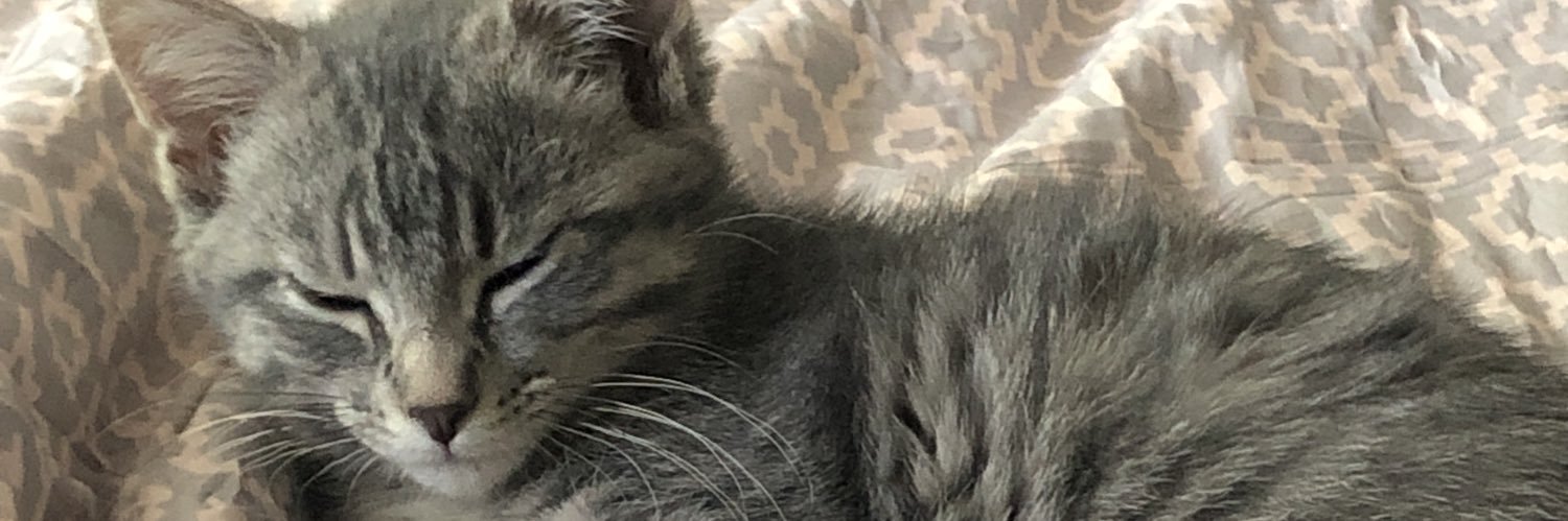 kkcbeebee's profile banner image
