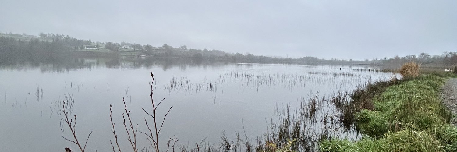Dave O'Connor banner