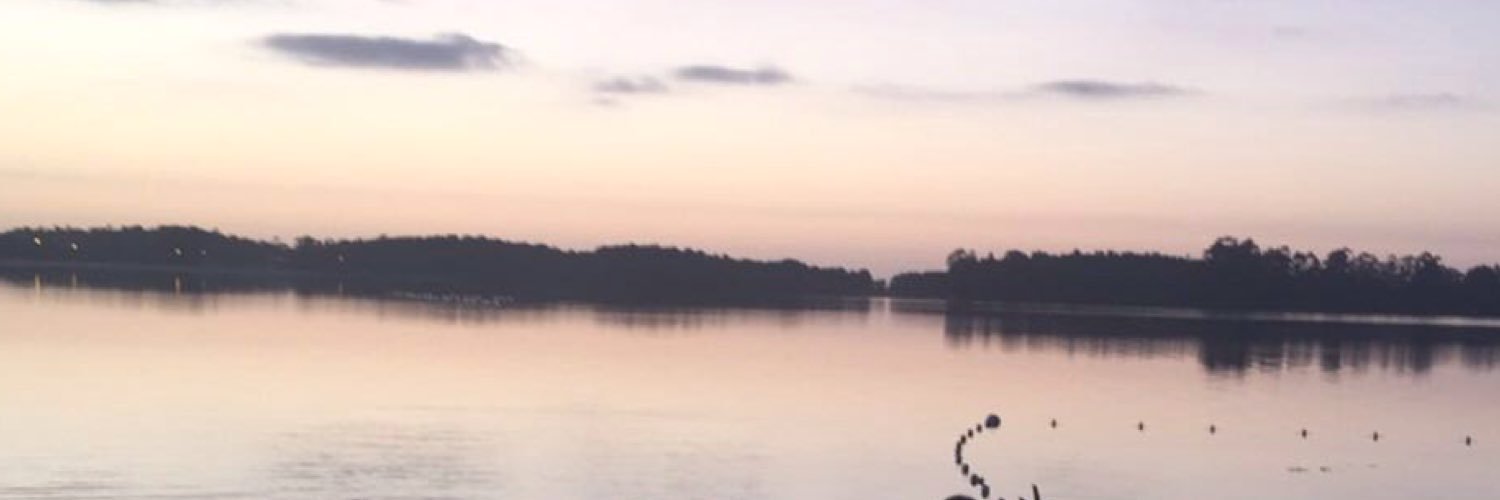 isabelavss's profile banner image