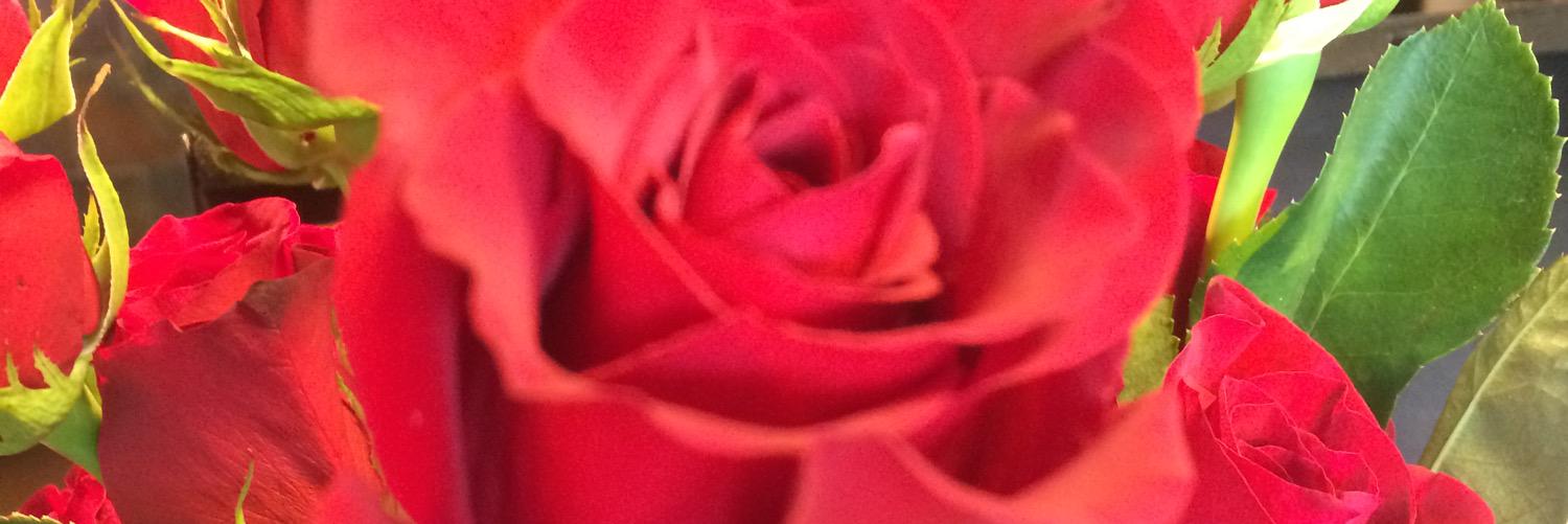just_JAI_'s profile banner image