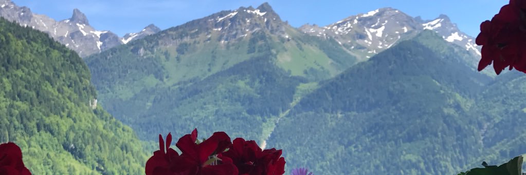 SarahJanczewski's profile banner image