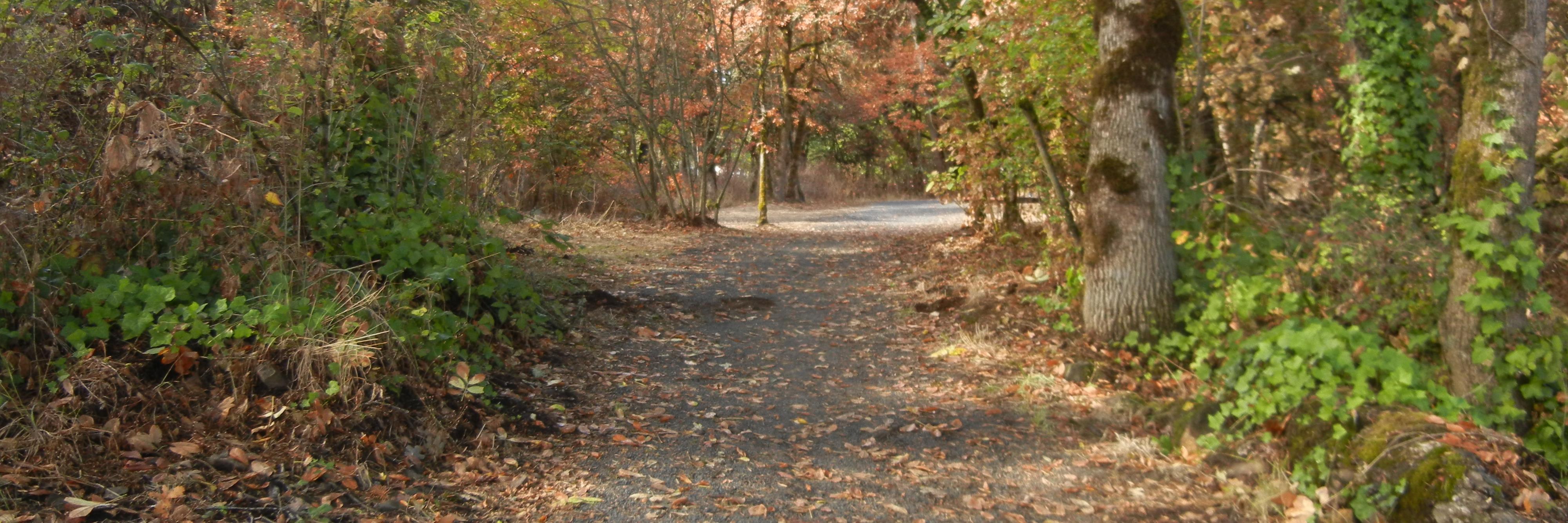 Elizashead's profile banner image