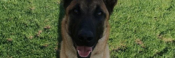 watchman312913 Profile Banner