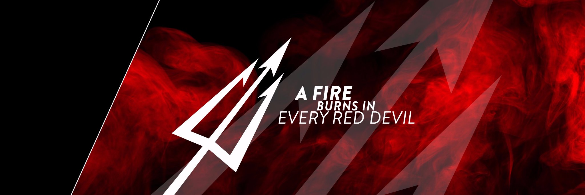 Dickinson Red Devils's banner