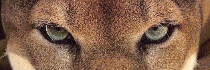 JOSETORRESROMAN's profile banner image
