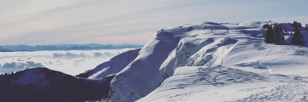 Gserres's profile banner image