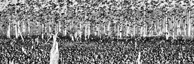 flightcontrolcc's profile banner image