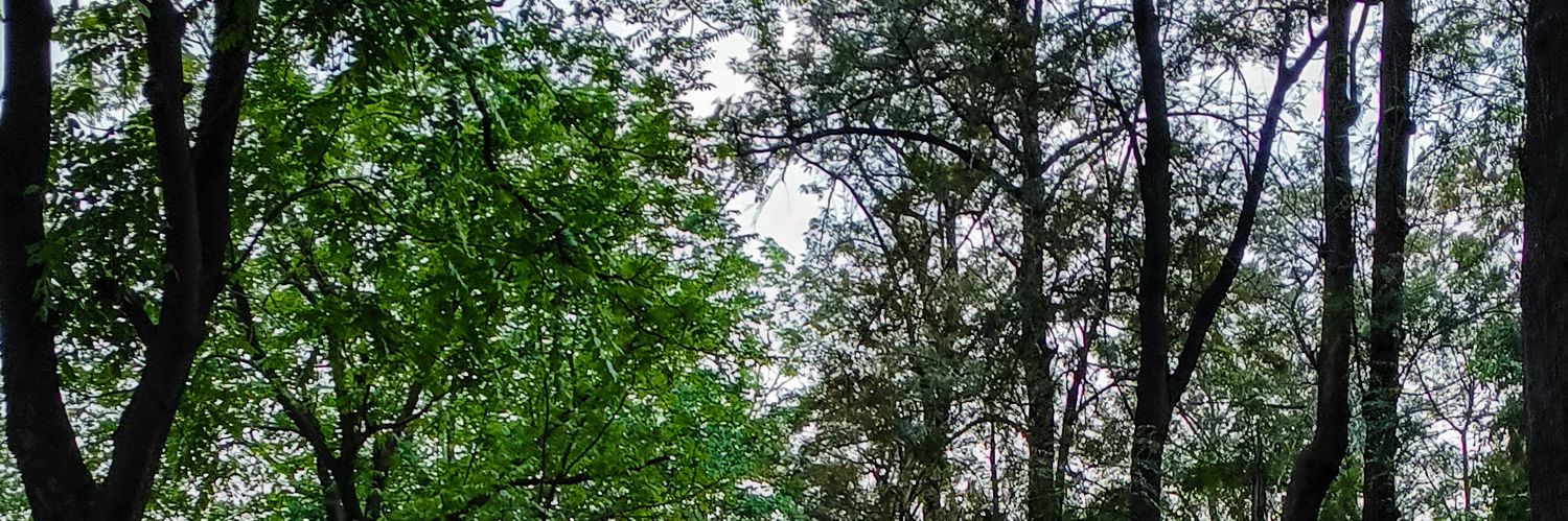 ritksharmaaa's profile banner image