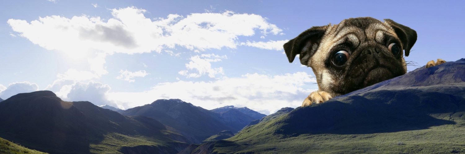 DavidMDodge's profile banner image