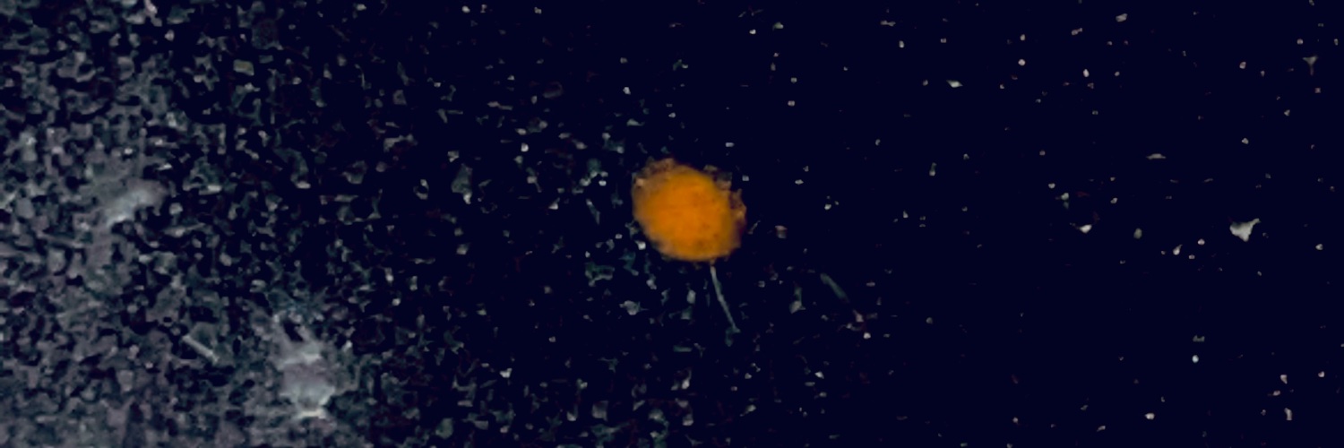 SPGlUl's profile banner image