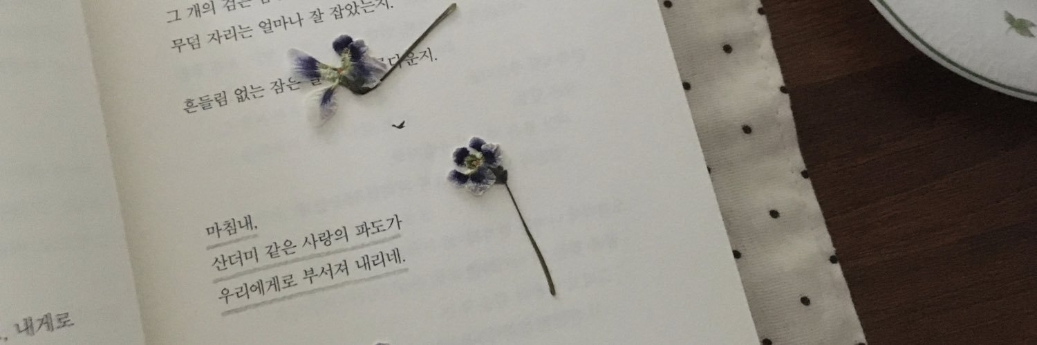 파동 banner