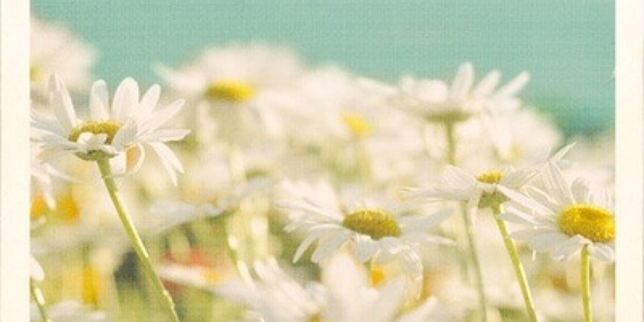 kristin196's profile banner image