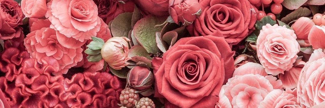 Goddess Sarah 💋bbw findomme banner