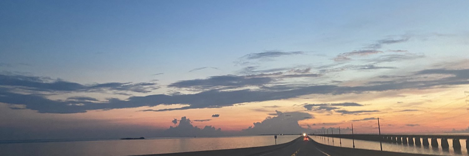 xojoycee's profile banner image