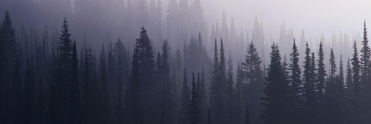 deleonmildred_'s profile banner image