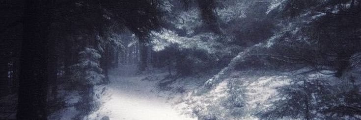 𓁹 𓁹 banner