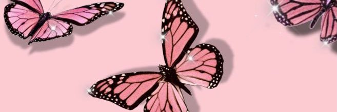 haleylund_'s profile banner image