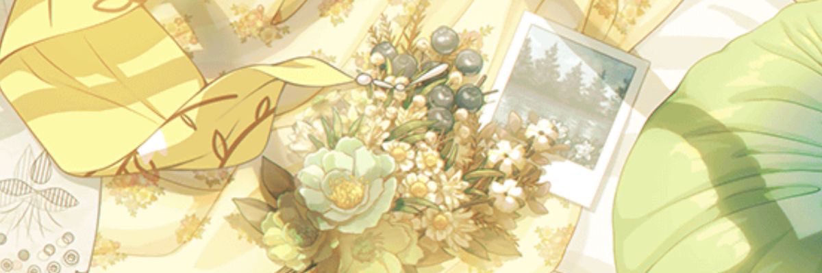 Solace's banner