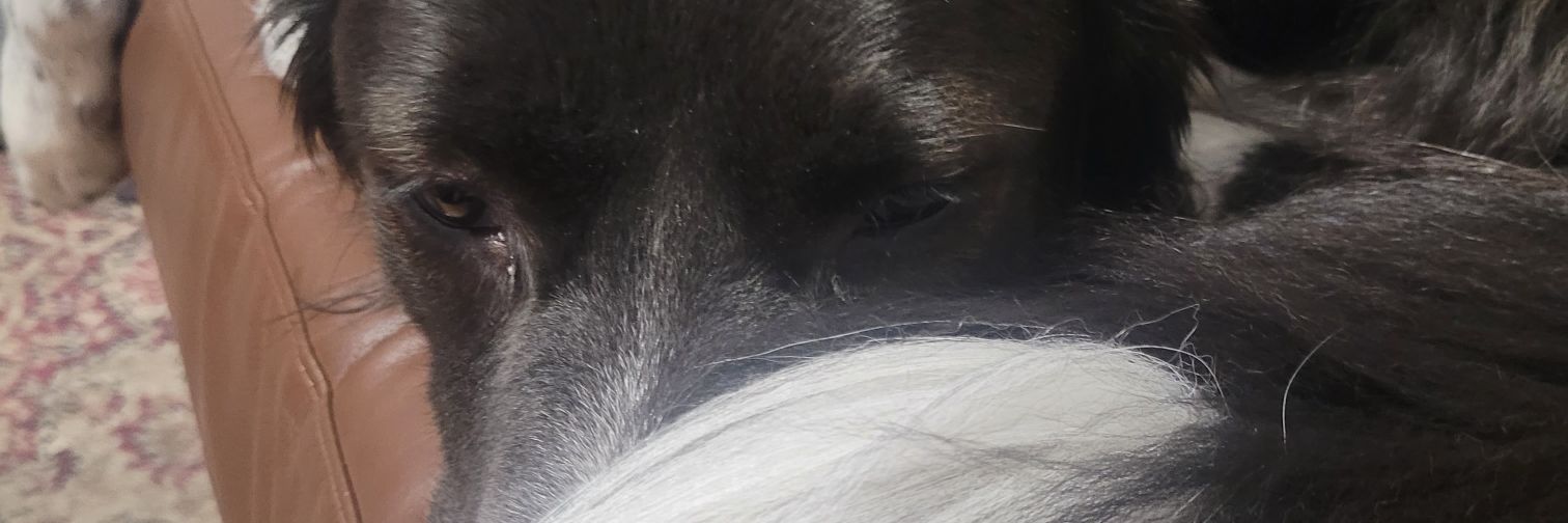 linkjag's profile banner image