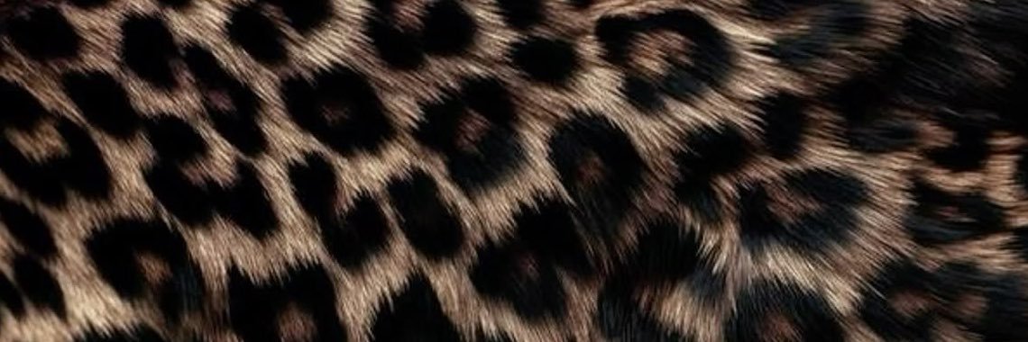 mmismii's profile banner image