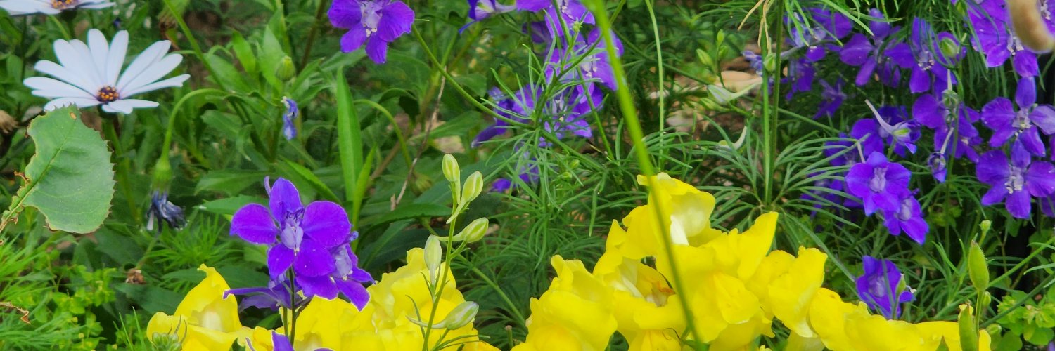 rutevera's profile banner image