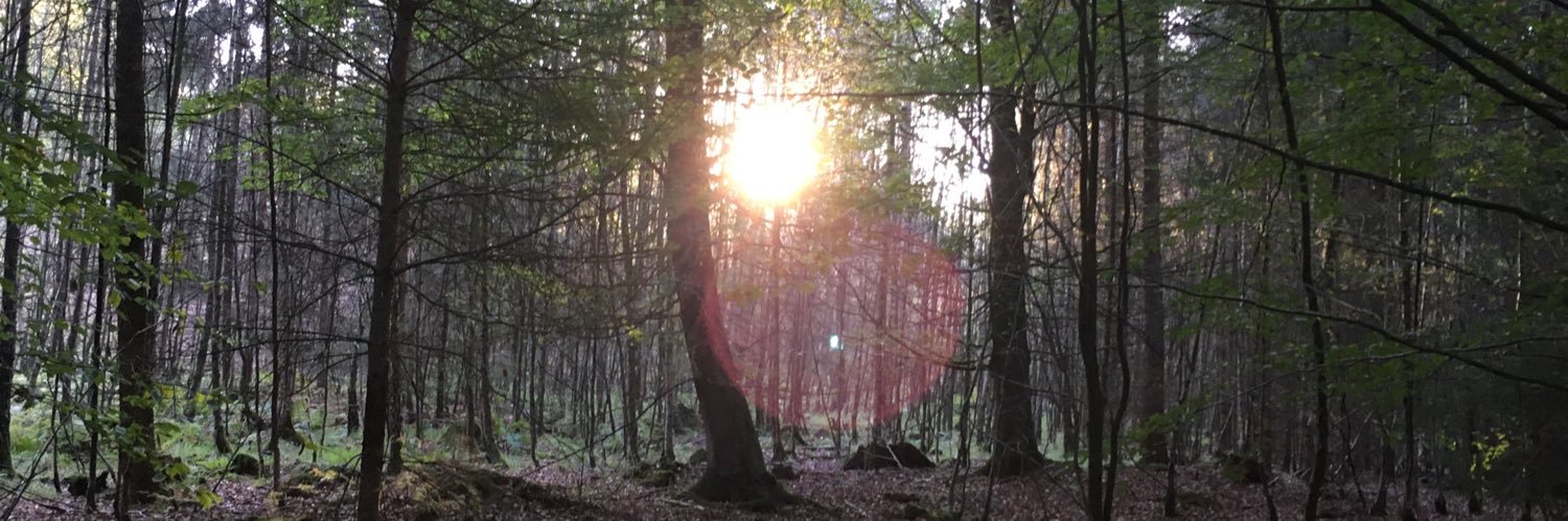 Thorsten Henning banner