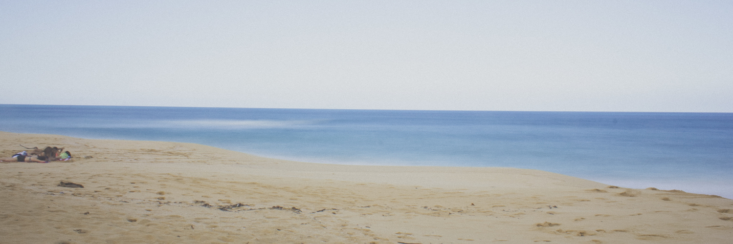 jccedre's profile banner image
