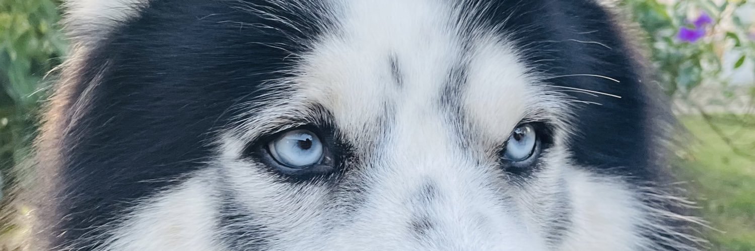Madsielle's profile banner image