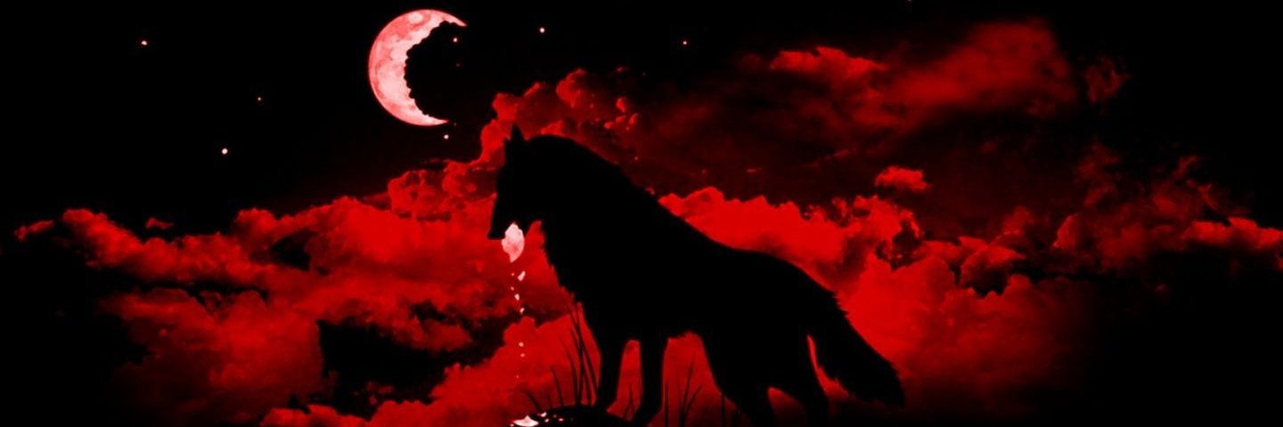 Wolf 🐺 banner