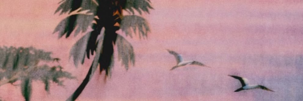 mave banner