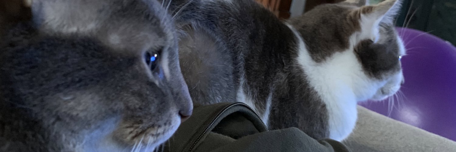 coleyoley51's profile banner image
