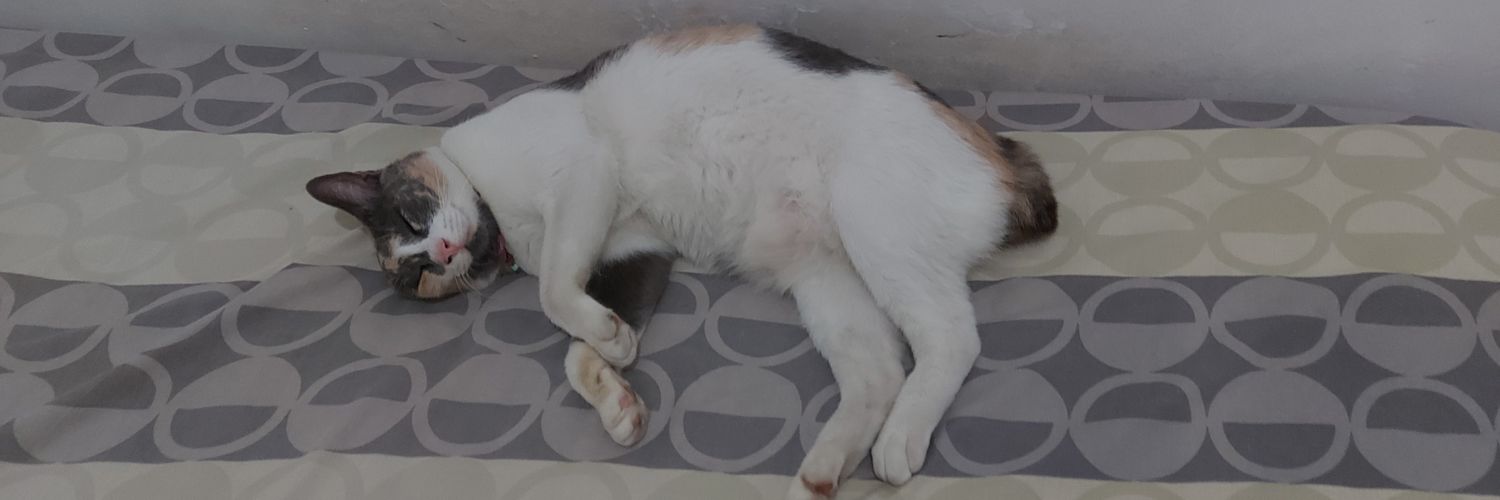 tooeniy's profile banner image
