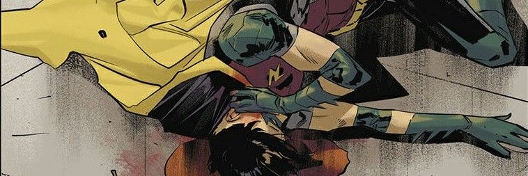 misha🍊🦇's banner