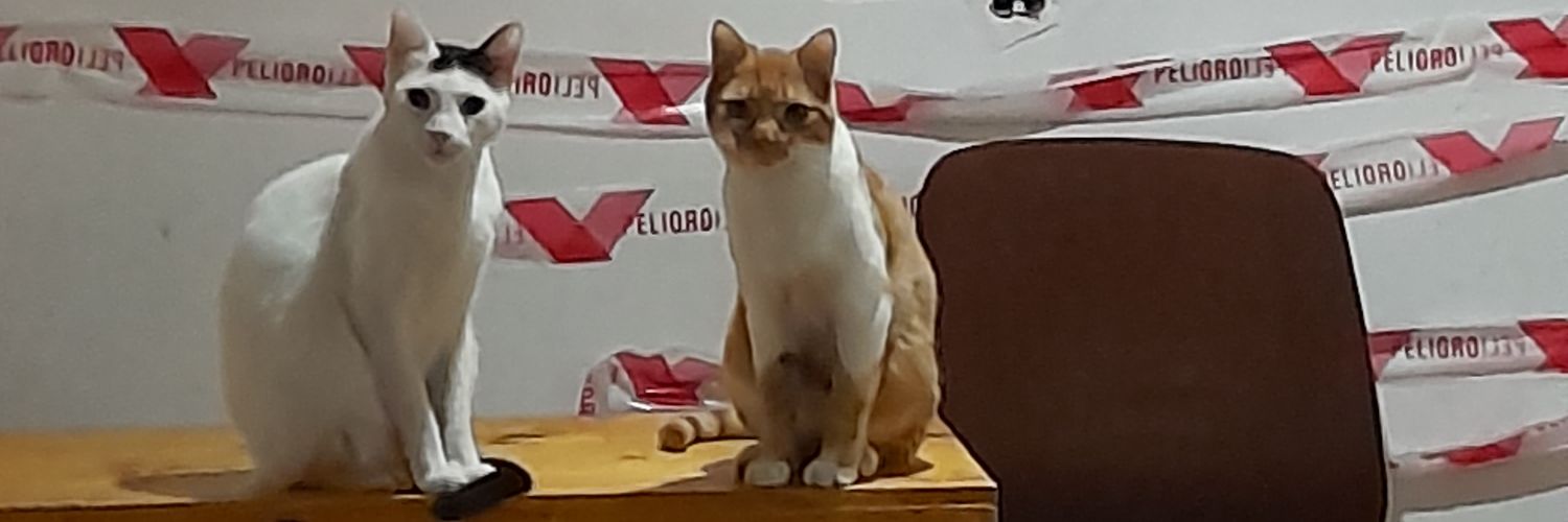 carostnd's profile banner image