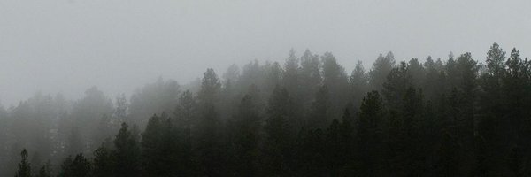 prttybuckley Profile Banner