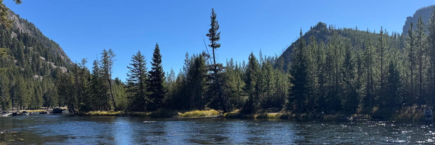 FitPatrioticSeeker banner