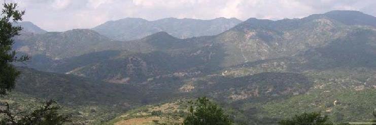 TexcaHidalgo's profile banner image