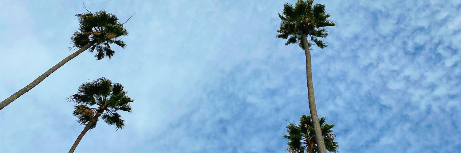 will_martorano's profile banner image