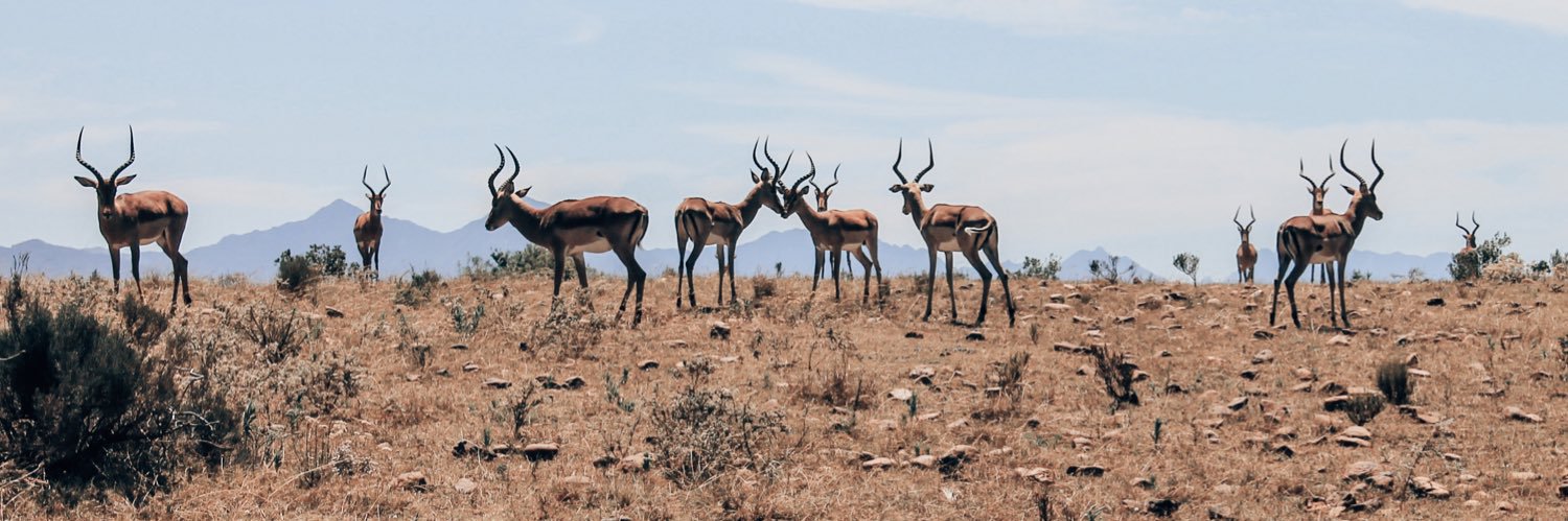 Johan van Boven banner