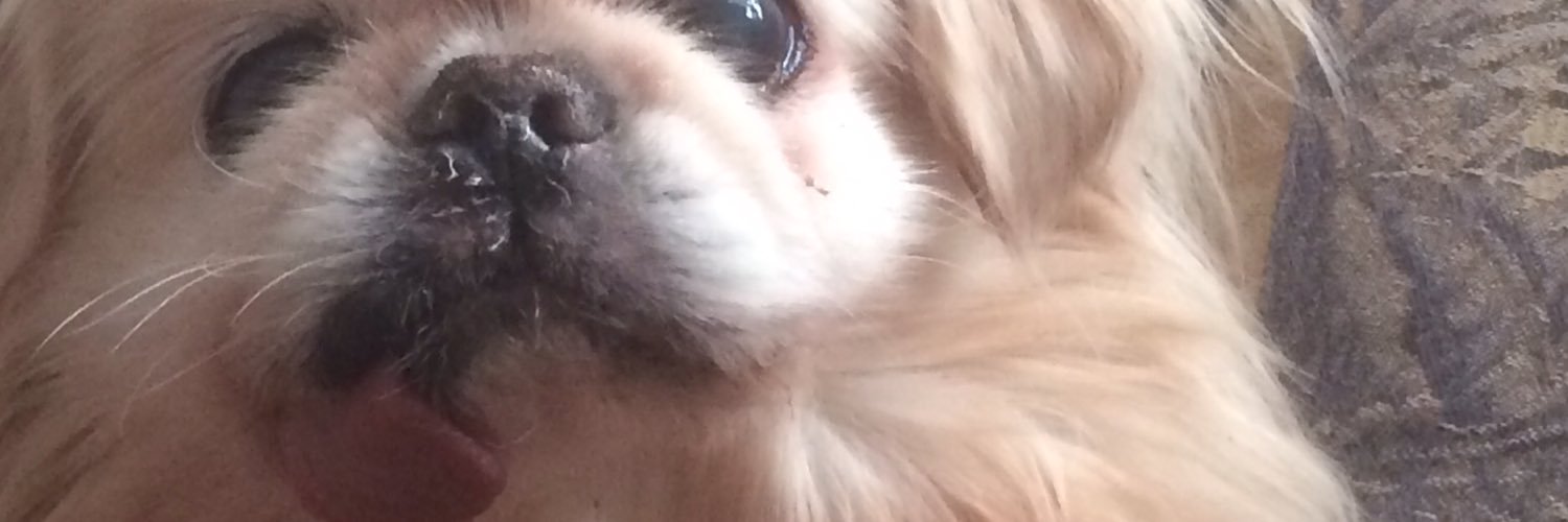 juliansf97's profile banner image