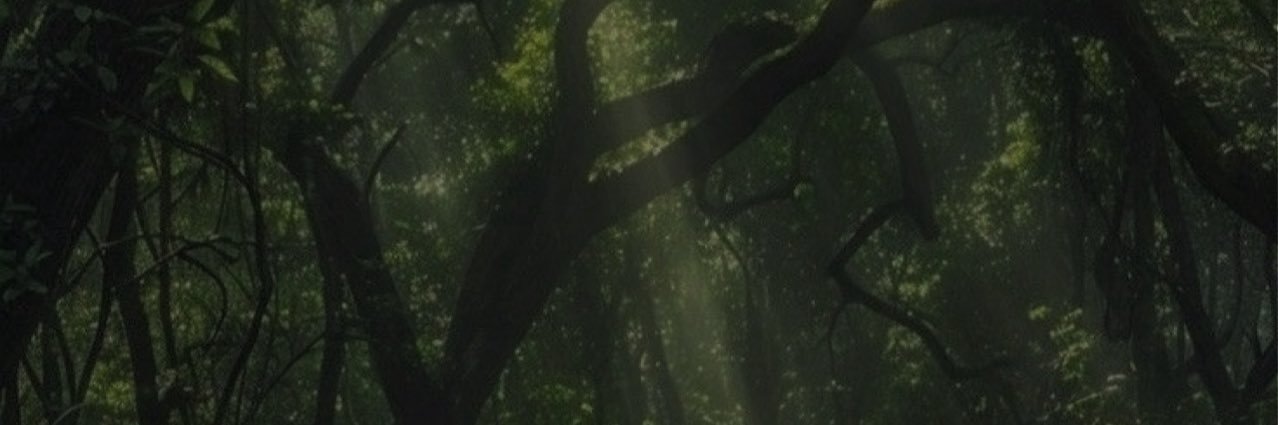 dolce_herhardt's profile banner image