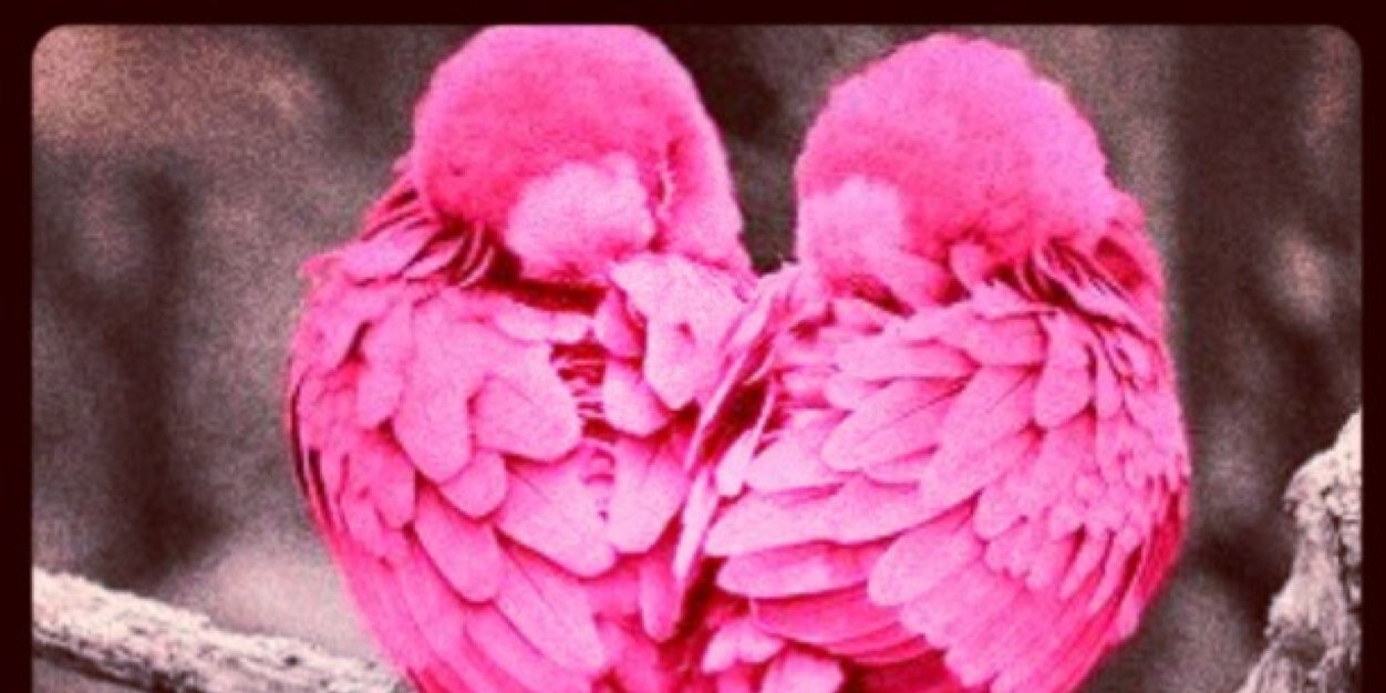 debbraverman's profile banner image