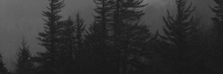 Han. banner
