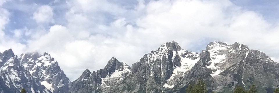 smithiekat's profile banner image