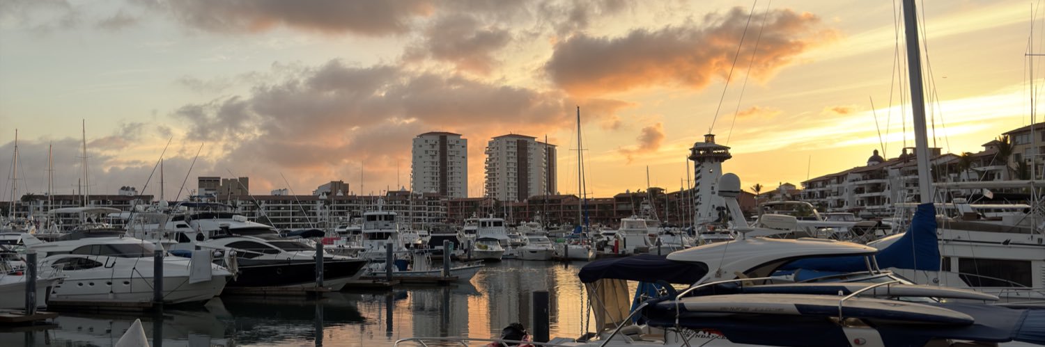 bacardí con oso 🐻 banner