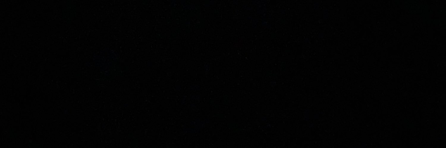 L 🇸🇪's banner