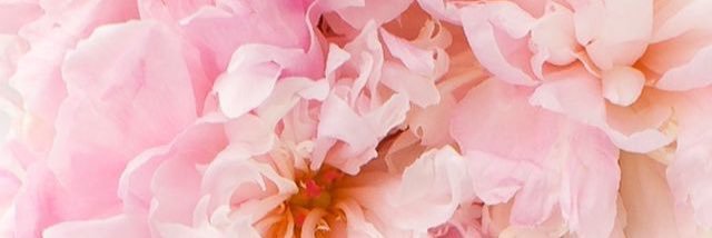releve's profile banner image